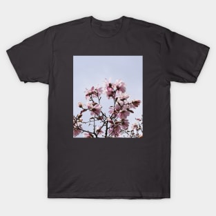 Large Pink Flowers, Spring Time Blossoms T-Shirt